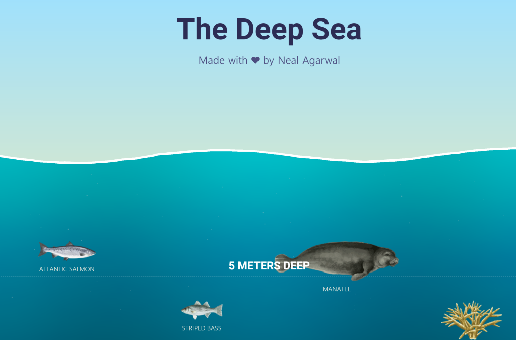 [ 심해어 ] 심해란?(Deep Sea) 심해 동물, 심해 식물 (생물 링크 이미지 및 동영상 포함) 2023.06.08