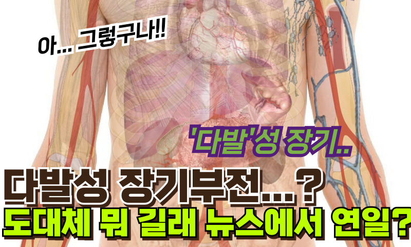 다발성-장기부전-MODS-원인-증상-치료-방법-및-예방-도대체-뭐길래-뉴스에서-연일